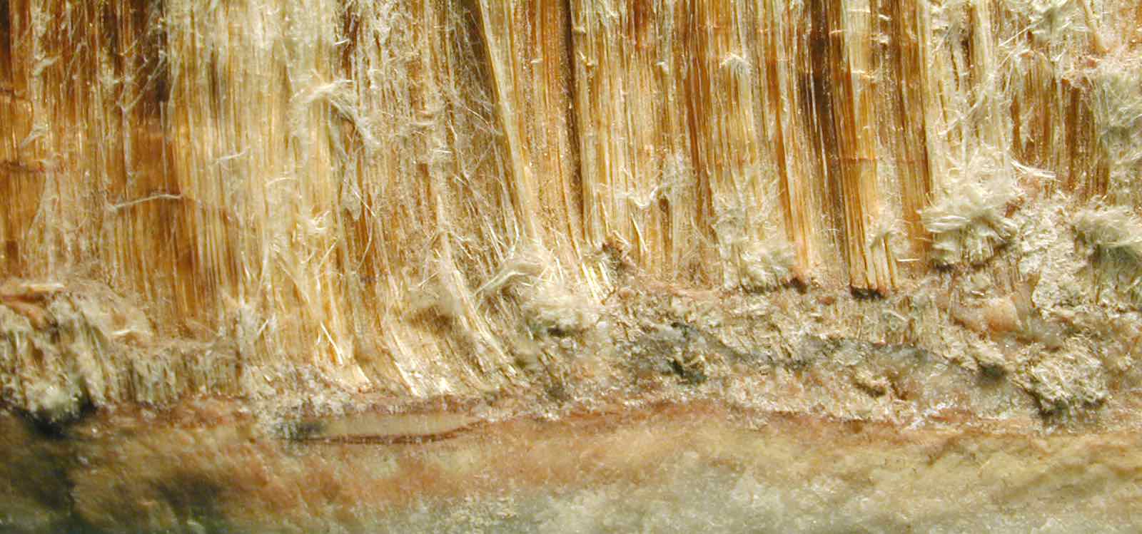 Asbestos | Tasman Council